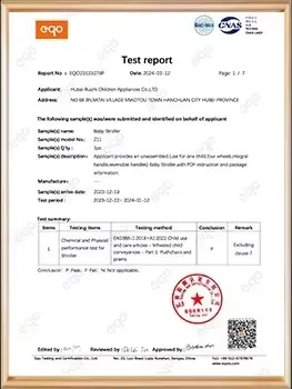 SGS certificate 2